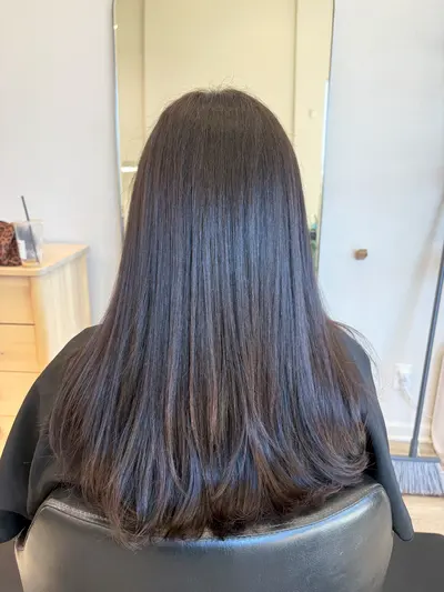 Back view of long, straight dark brown hair with an even, glossy finish and softly rounded ends.