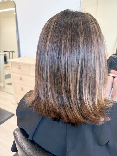 Back view of a shoulder-length brunette bob with fine caramel highlights and softly curved ends.